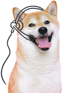 Happy Support Dog